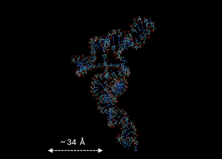 Research at Auxergen Reveals Secrets of Virus Assembly