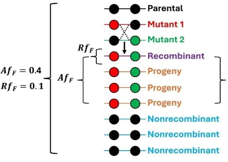 Auxergen Publishes a New Mathematical Formula for Describing Viral Recombination in Genetics